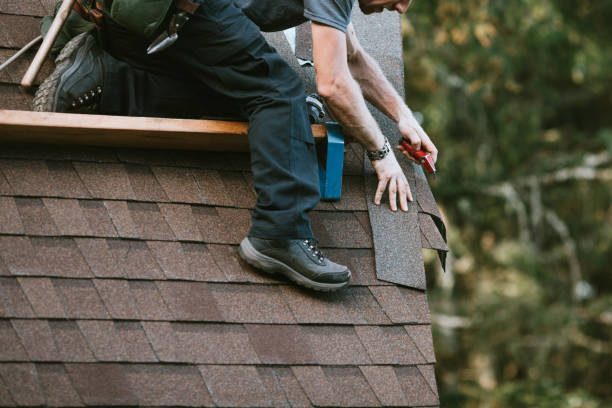 Best Metal Roofing Contractor  in Hawthorne, NV